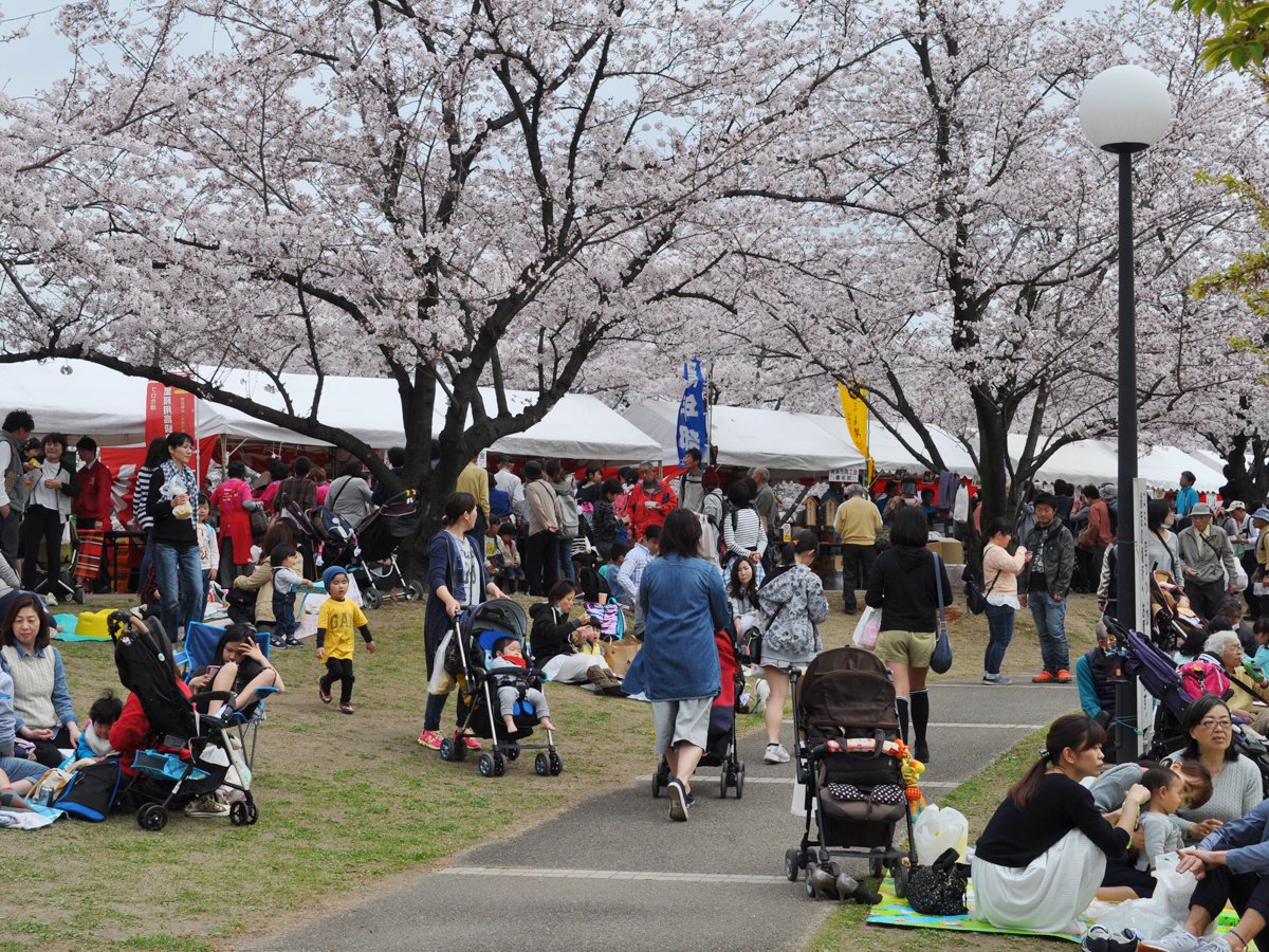 🏯 기요스 성(清洲城) 이미지 9